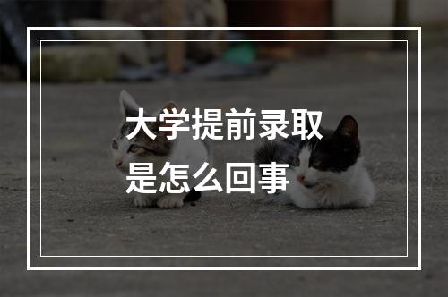 大学提前录取是怎么回事