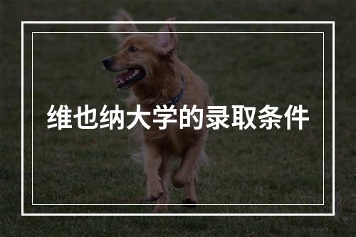 维也纳大学的录取条件