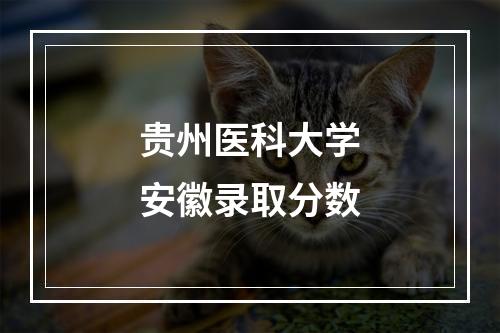 贵州医科大学安徽录取分数