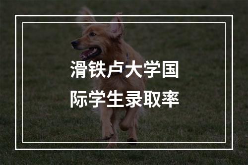 滑铁卢大学国际学生录取率