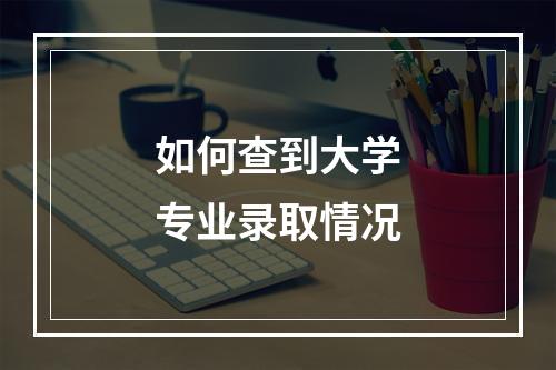 如何查到大学专业录取情况