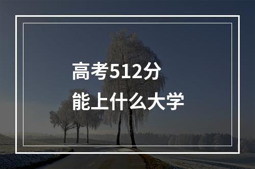 高考512分能上什么大学