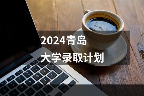 2024青岛大学录取计划