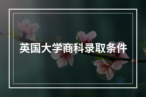 英国大学商科录取条件