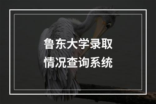 鲁东大学录取情况查询系统