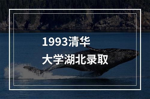 1993清华大学湖北录取