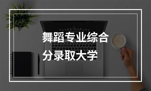 舞蹈专业综合分录取大学