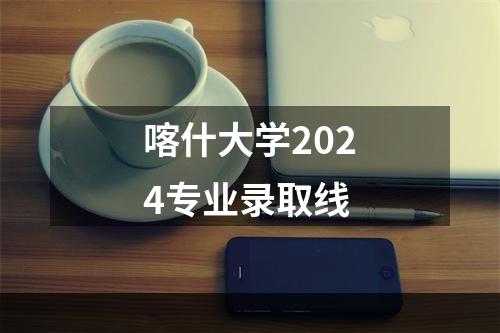 喀什大学2024专业录取线