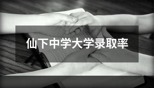 仙下中学大学录取率