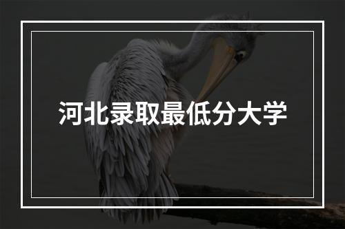 河北录取最低分大学