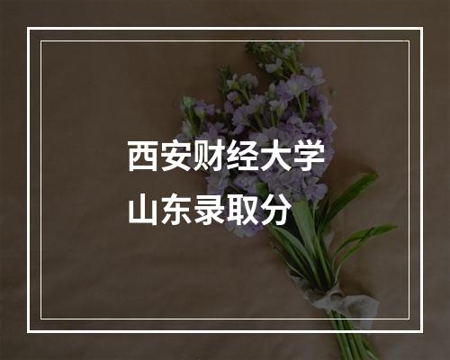 西安财经大学山东录取分