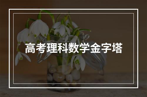 高考理科数学金字塔