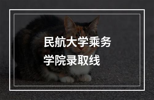 民航大学乘务学院录取线