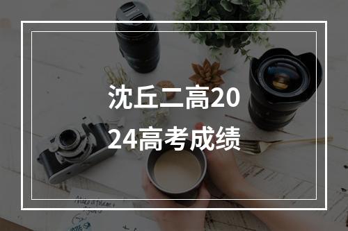 沈丘二高2024高考成绩