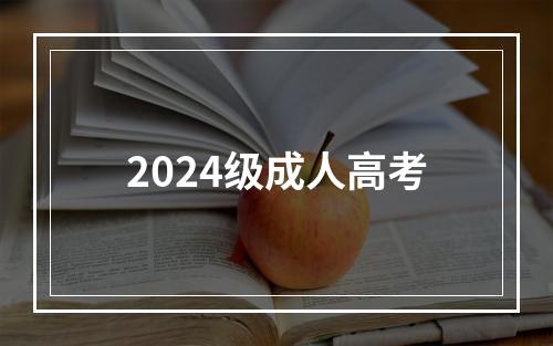 2024级成人高考