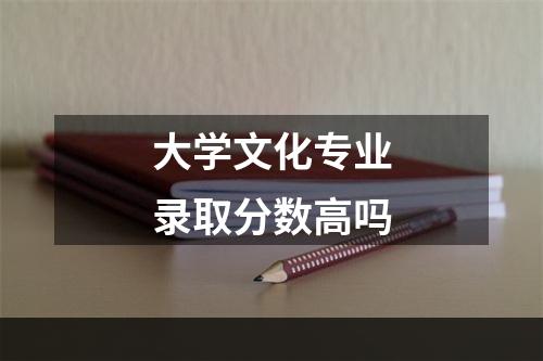 大学文化专业录取分数高吗