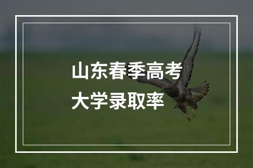 山东春季高考大学录取率