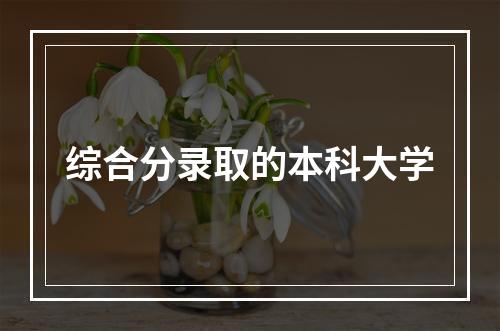 综合分录取的本科大学