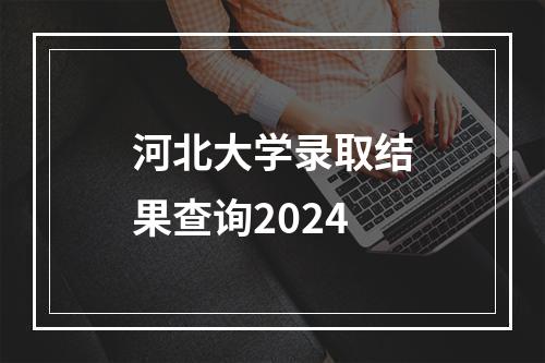 河北大学录取结果查询2024