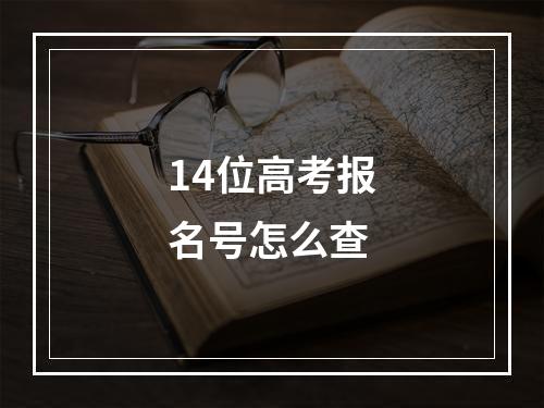 14位高考报名号怎么查