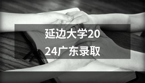 延边大学2024广东录取