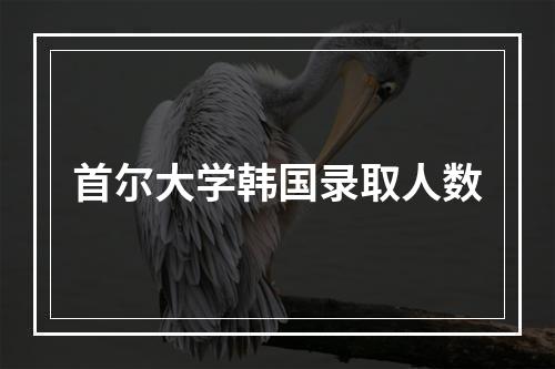 首尔大学韩国录取人数