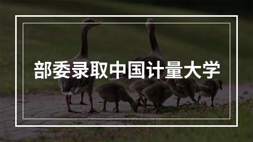 部委录取中国计量大学