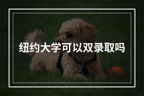 纽约大学可以双录取吗