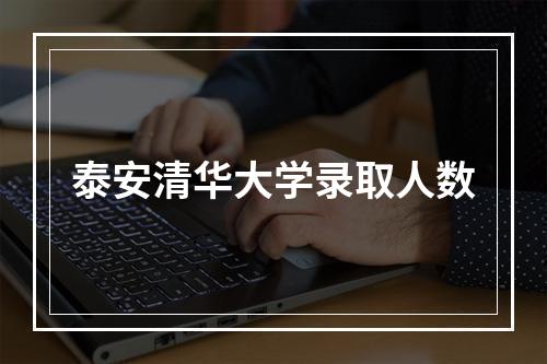 泰安清华大学录取人数