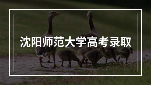 沈阳师范大学高考录取