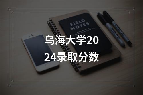 乌海大学2024录取分数