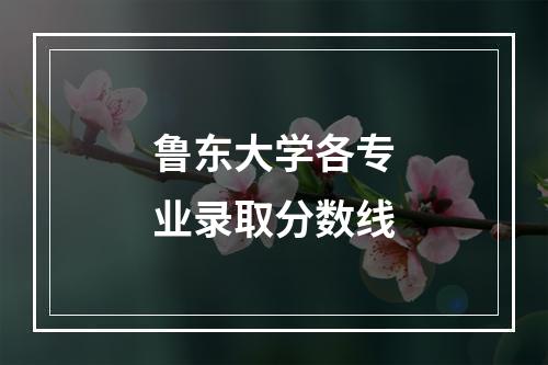 鲁东大学各专业录取分数线