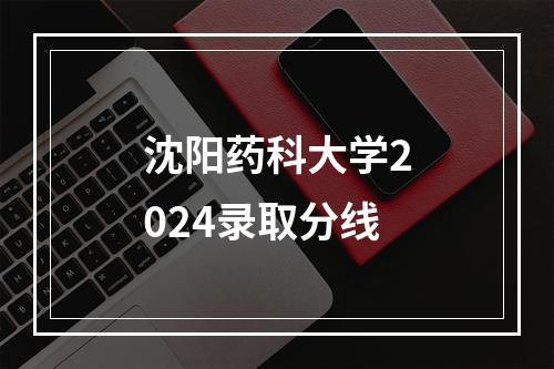 沈阳药科大学2024录取分线