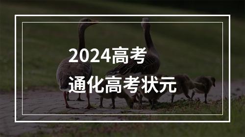 2024高考通化高考状元