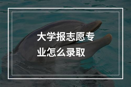 大学报志愿专业怎么录取