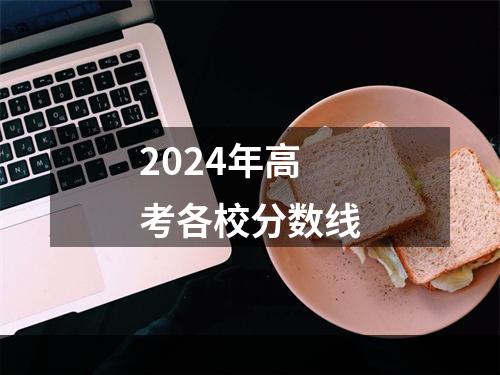 2024年高考各校分数线