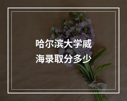 哈尔滨大学威海录取分多少