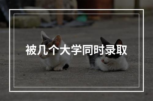 被几个大学同时录取