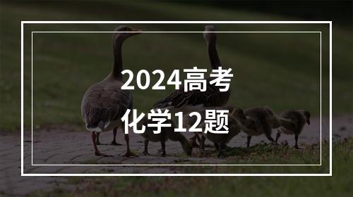 2024高考化学12题