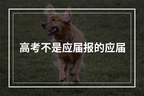 高考不是应届报的应届