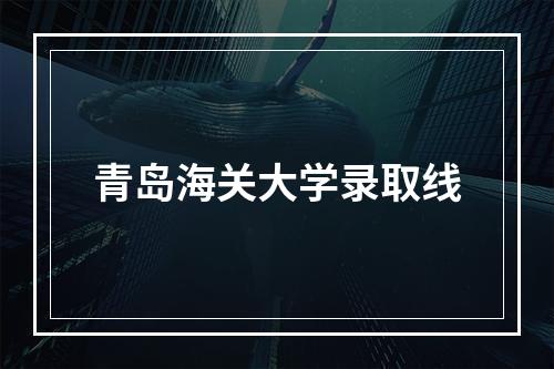 青岛海关大学录取线