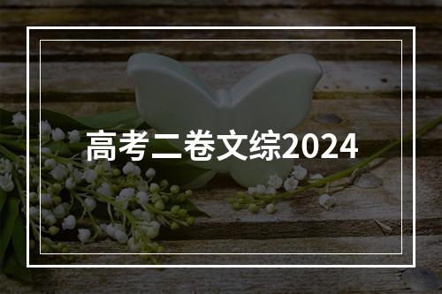 高考二卷文综2024