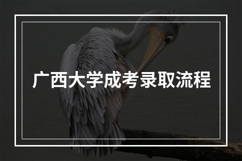 广西大学成考录取流程