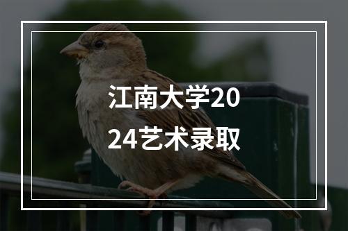 江南大学2024艺术录取