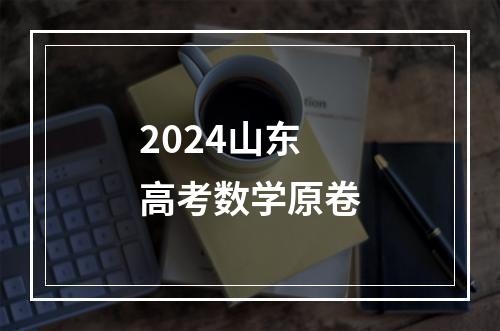 2024山东高考数学原卷