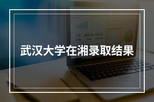 武汉大学在湘录取结果