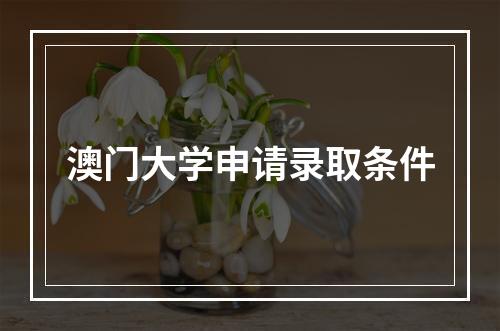 澳门大学申请录取条件