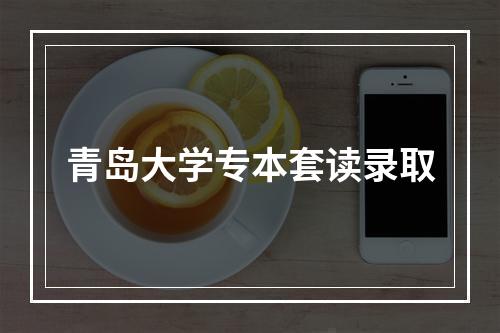 青岛大学专本套读录取