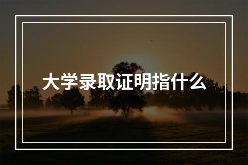 大学录取证明指什么