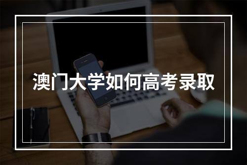 澳门大学如何高考录取